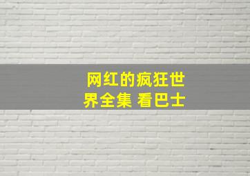 网红的疯狂世界全集 看巴士